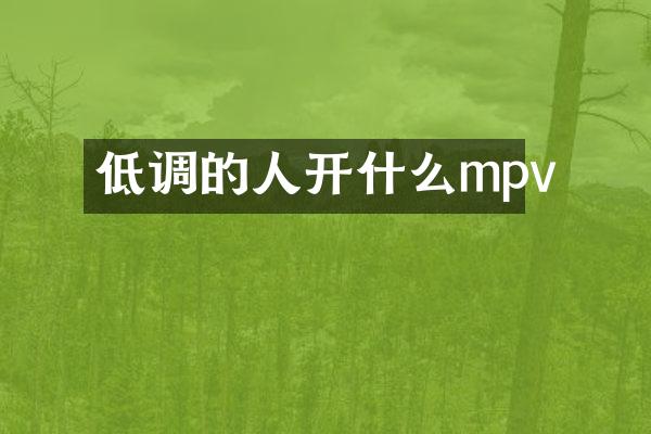 低调的人开什么mpv