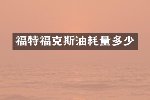 福特福克斯油耗量多少