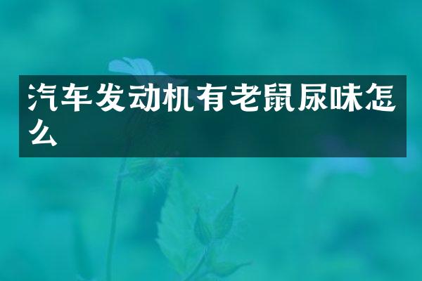 汽车发动机有老鼠尿味怎么