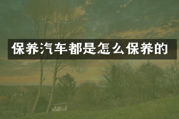 保养汽车都是怎么保养的
