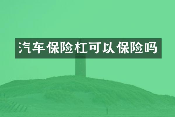 汽车保险杠可以保险吗
