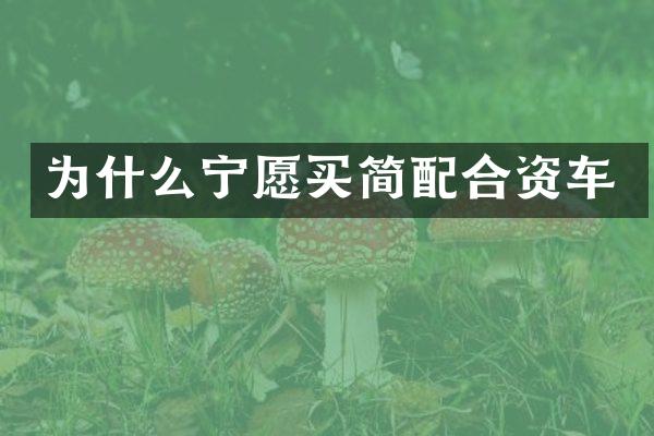 为什么宁愿买简配合资车