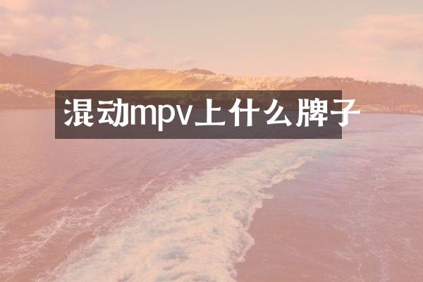 混动mpv上什么牌子