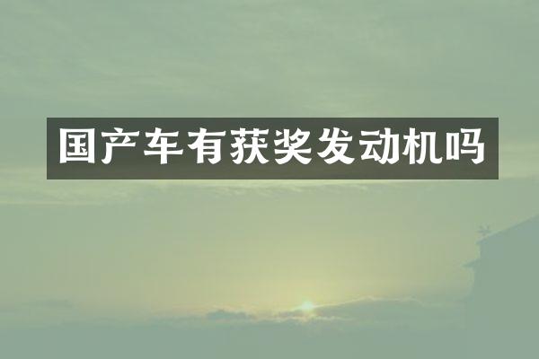 国产车有发动机吗