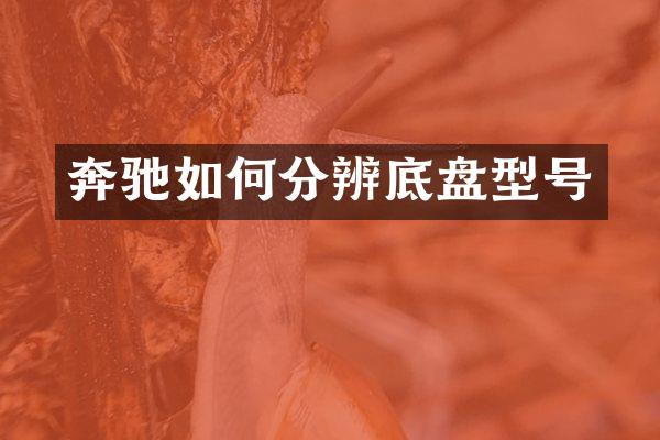 奔驰如何分辨底盘型号