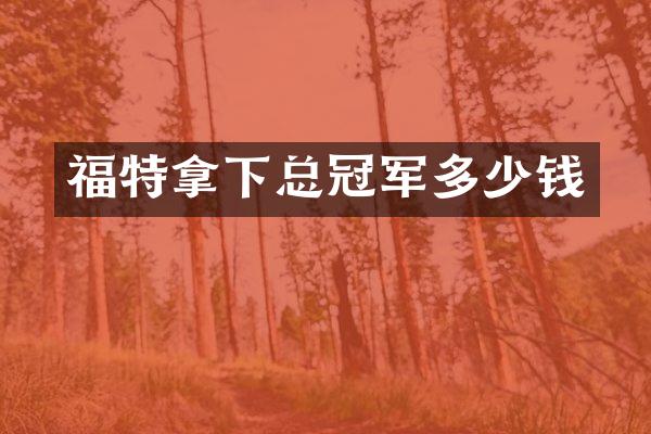 福特拿下总冠军多少钱