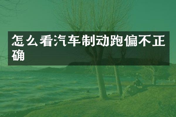 怎么看汽车制动跑偏不正确