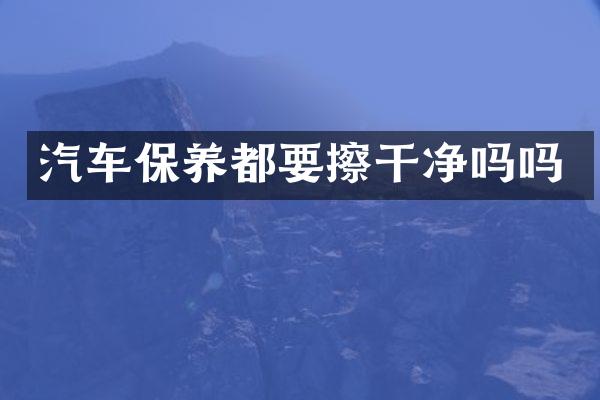 汽车保养都要擦干净吗吗