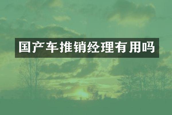 国产车推销经理有用吗