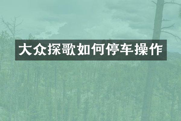大众探歌如何停车操作