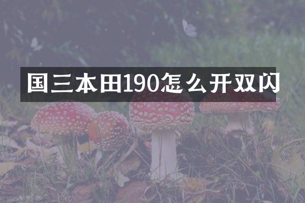 国三本田190怎么开双闪