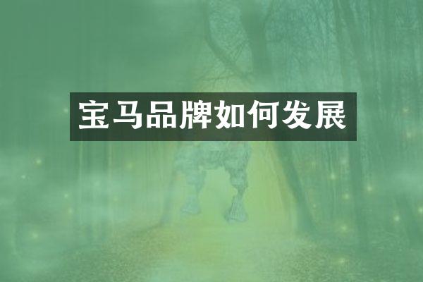 宝马品牌如何发展