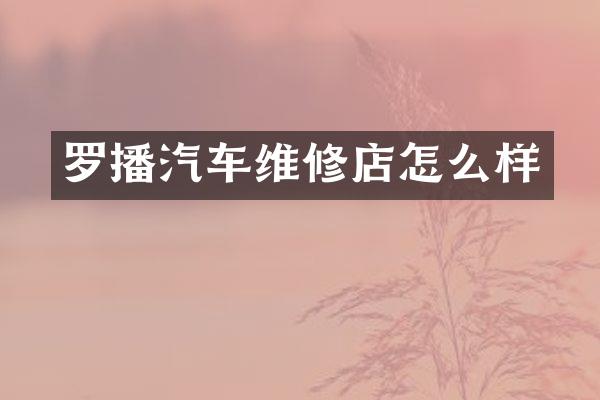 罗播汽车维修店怎么样