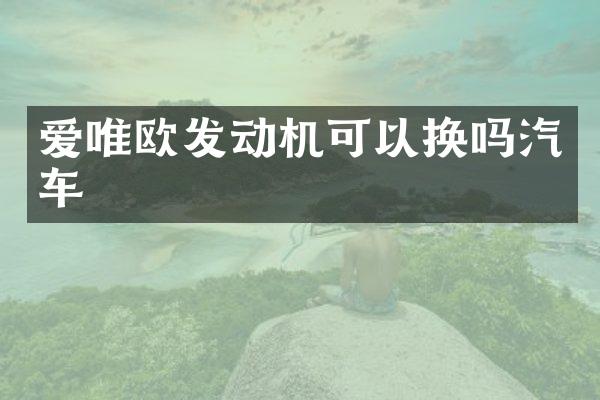 爱唯欧发动机可以换吗汽车
