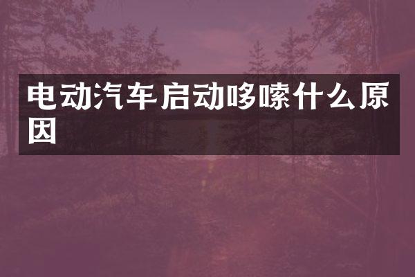 电动汽车启动哆嗦什么原因