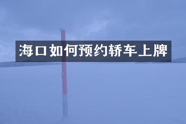 海口如何预约轿车上牌
