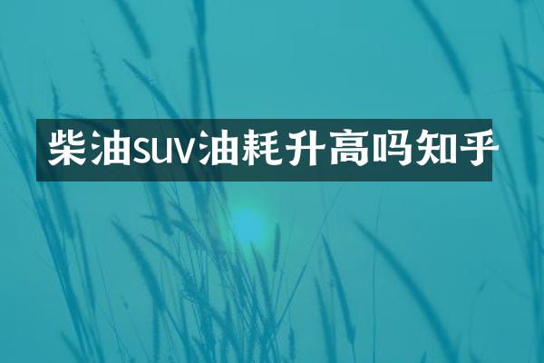 柴油suv油耗升高吗知乎