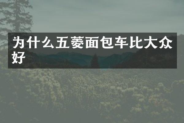 为什么五菱面包车比大众好