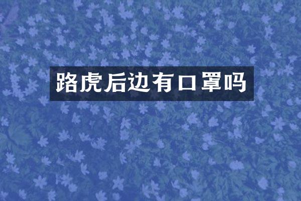 路虎后边有口罩吗