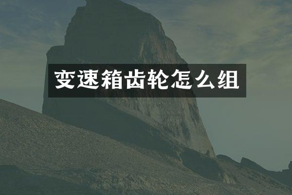 变速箱齿轮怎么组
