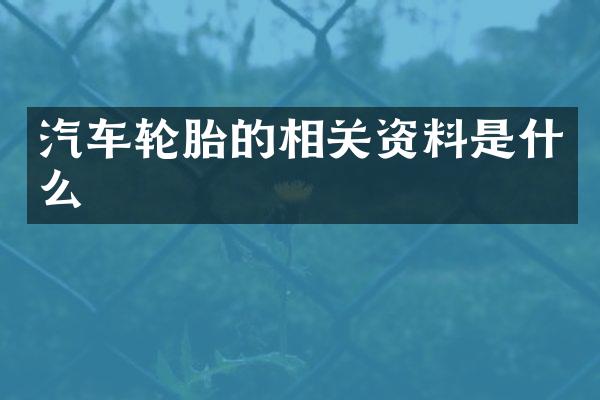 汽车轮胎的相关资料是什么