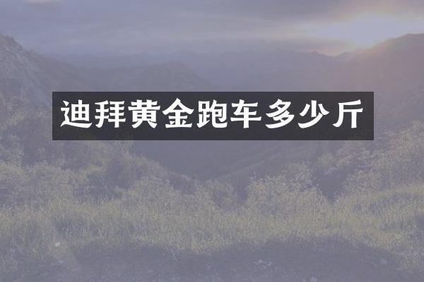 迪拜黄金跑车多少斤