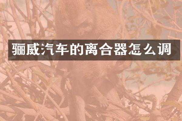 骊威汽车的离合器怎么调