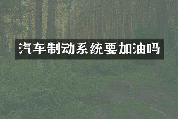 汽车制动系统要加油吗