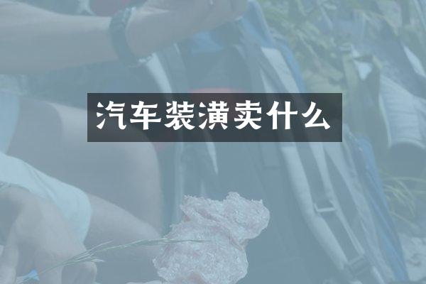 汽车装潢卖什么