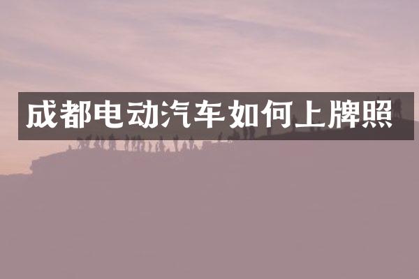 成都电动汽车如何上牌照