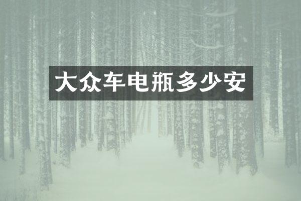 大众车电瓶多少安
