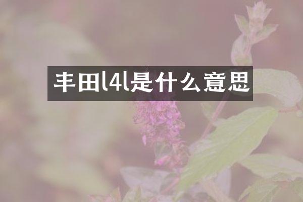 丰田l4l是什么意思
