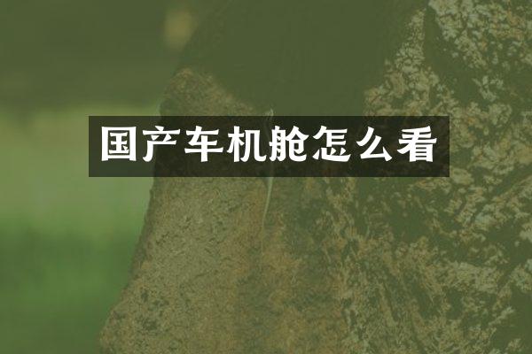 国产车机舱怎么看