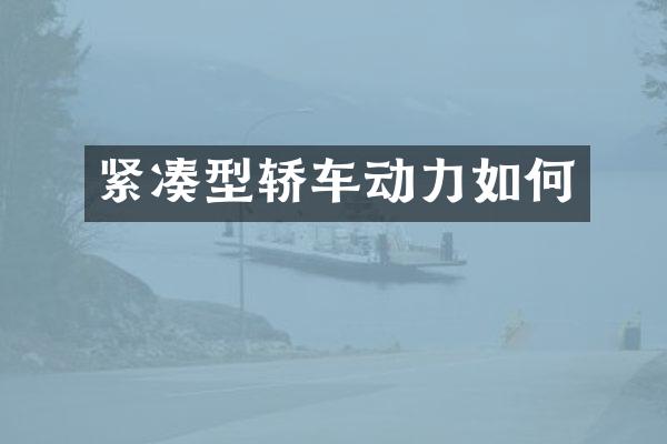 紧凑型轿车动力如何