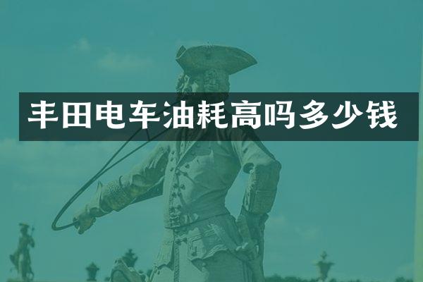 丰田电车油耗高吗多少钱