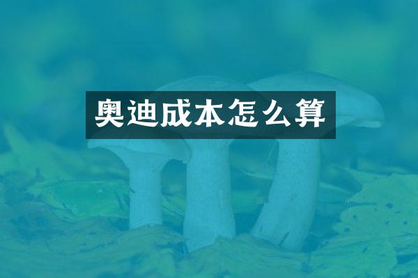 奥迪成本怎么算
