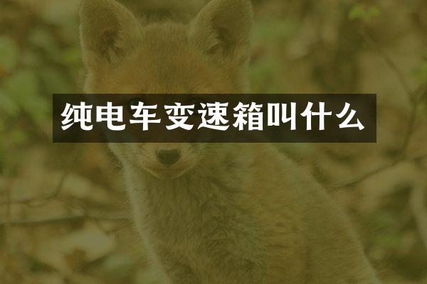 纯电车变速箱叫什么