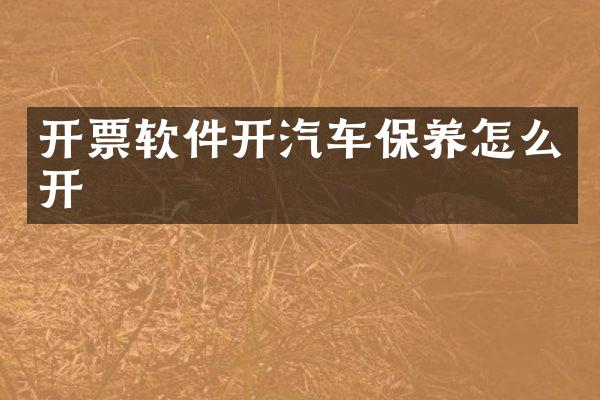 开票软件开汽车保养怎么开