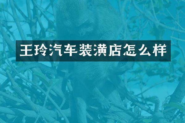 王玲汽车装潢店怎么样