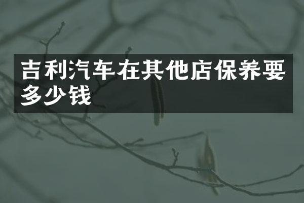 吉利汽车在其他店保养要多少钱