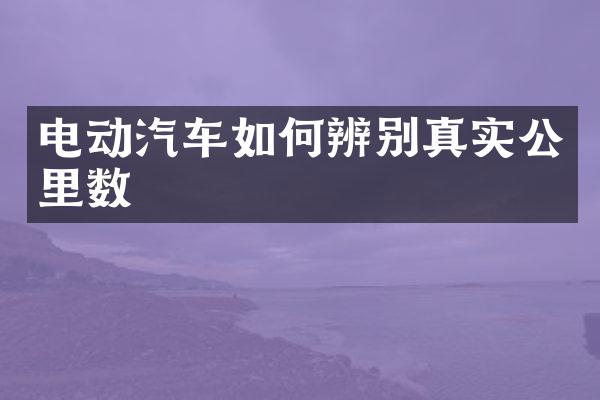 电动汽车如何辨别真实公里数