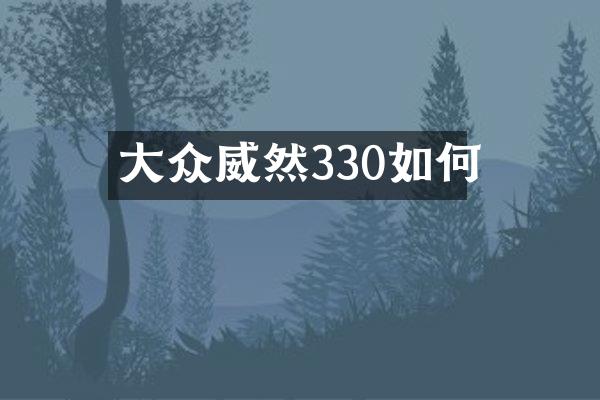 大众威然330如何