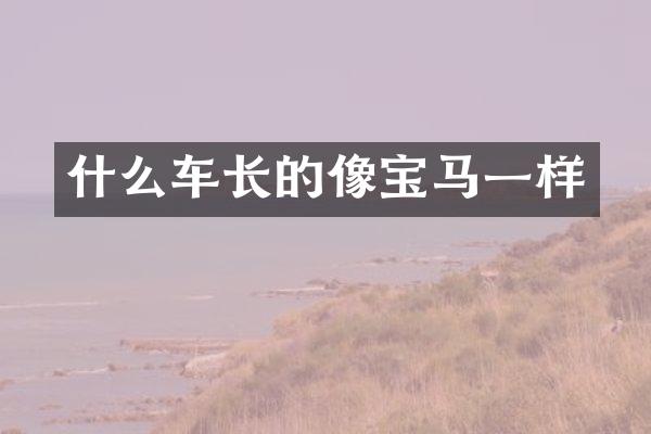 什么车长的像宝马一样