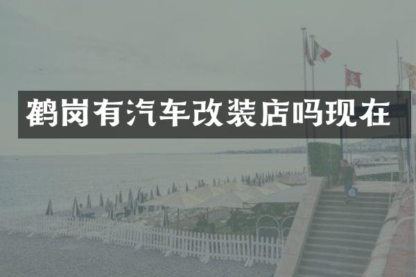 鹤岗有汽车改装店吗现在
