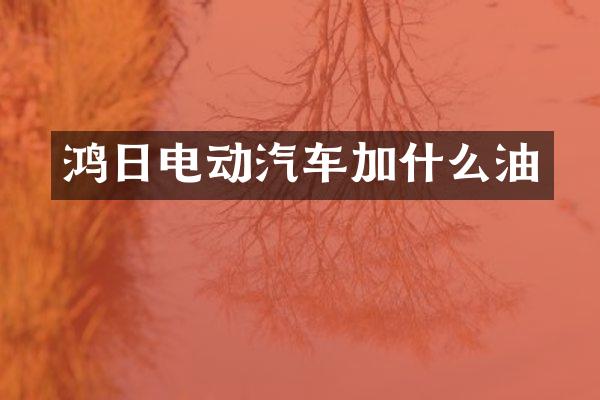 鸿日电动汽车加什么油