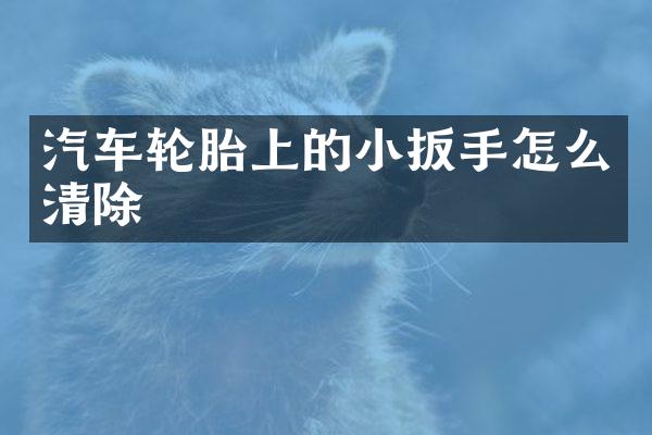 汽车轮胎上的小扳手怎么清除