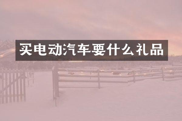 买电动汽车要什么礼品