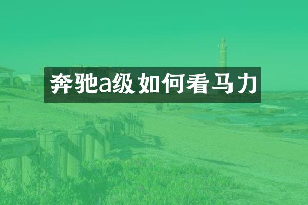 奔驰a级如何看马力