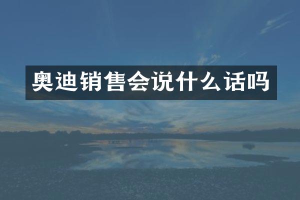 奥迪销售会说什么话吗