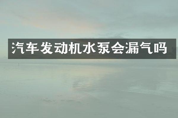 汽车发动机水泵会漏气吗